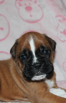 IMG_4446.JPG amy